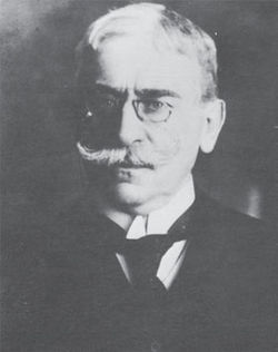 zemun_vojislav_subotic_1