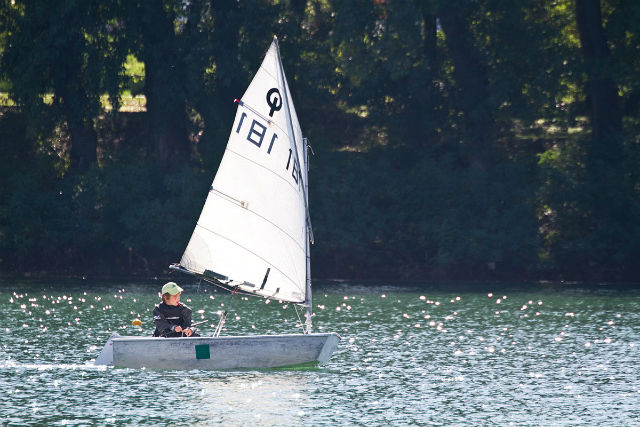 regata5