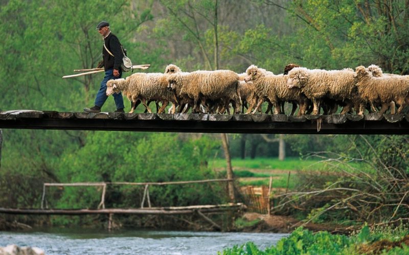 Stara-planina-izmedju-sela-Dojkinsi-i-Rsavci1-1024x6391