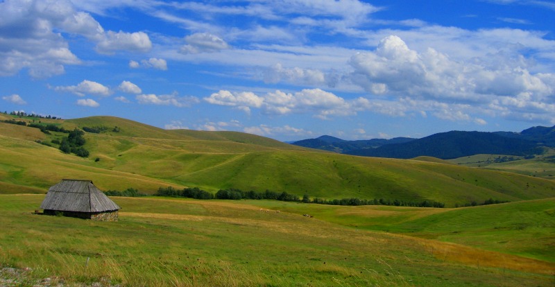 Zlatibor, Uros Petrovic