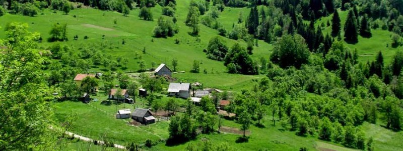 Serbia: la macchina della verità / Serbia / aree / Home