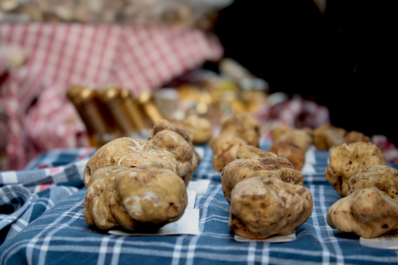 White Truffle Serbia