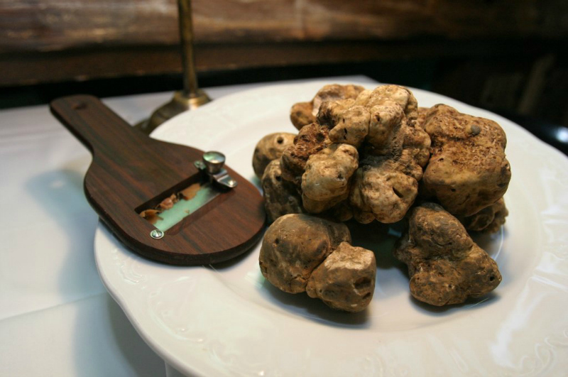 White Truffle Serbia