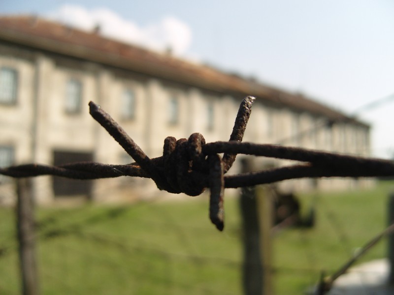 Red Cross Concentration Camp in Nis, Paco Alfonso