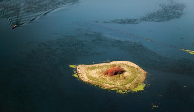 The Danube Island near Krčedin