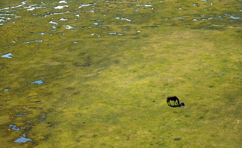 The surroundings of Kikinda