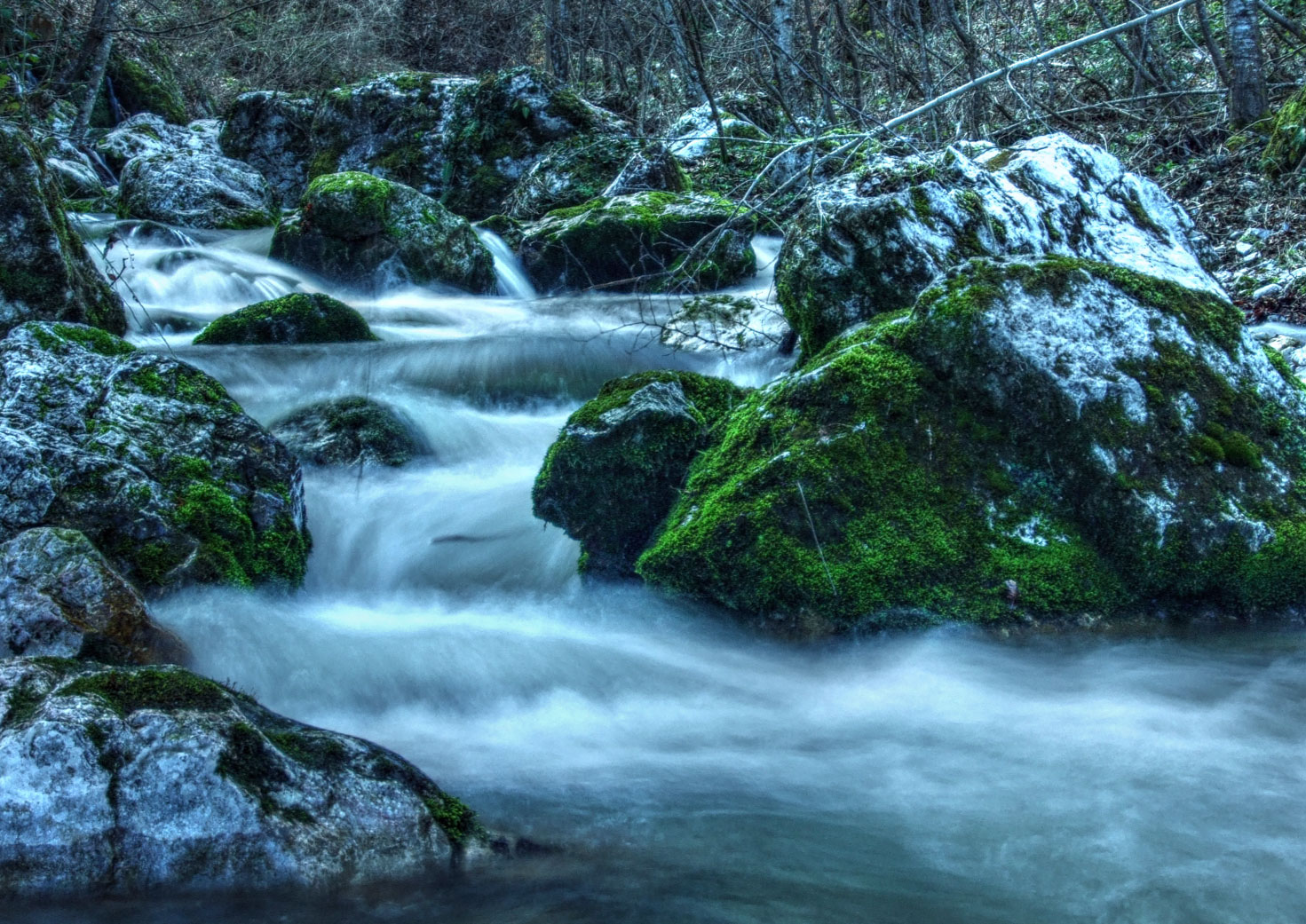 River Rača, Tara