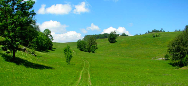 Povlen , vrh