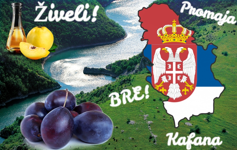 10 Serbian Words You Have To Learn Serbia