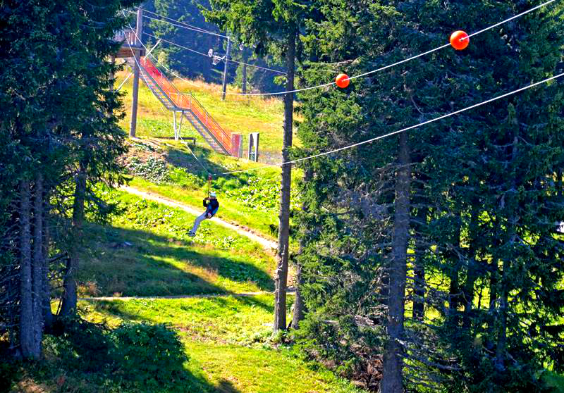 zip-line-kopaonik