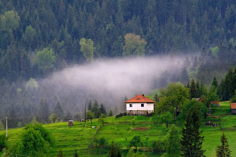 Zlatar