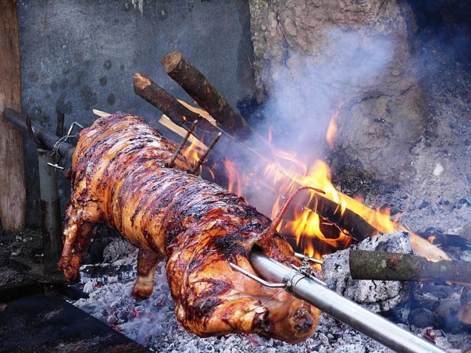 Pig on a spit