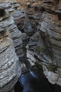 The Rosomača