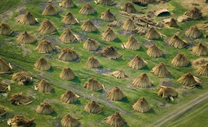 Cane harvest in Belo blato