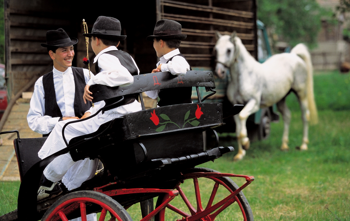 Intangible cultural heritage as a guardian of Serbian identity