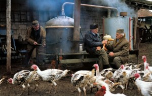 Traditional distillation of rakia - the village of Ranilović near Arandjelovac