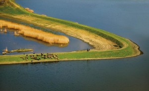 Fish hatchery in Ečka near Zrenjanin