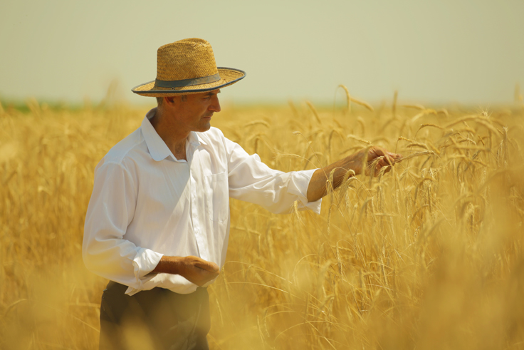 Organic food Serbia