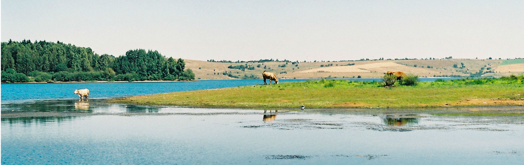 Perućac lake, a fisherman’s paradise