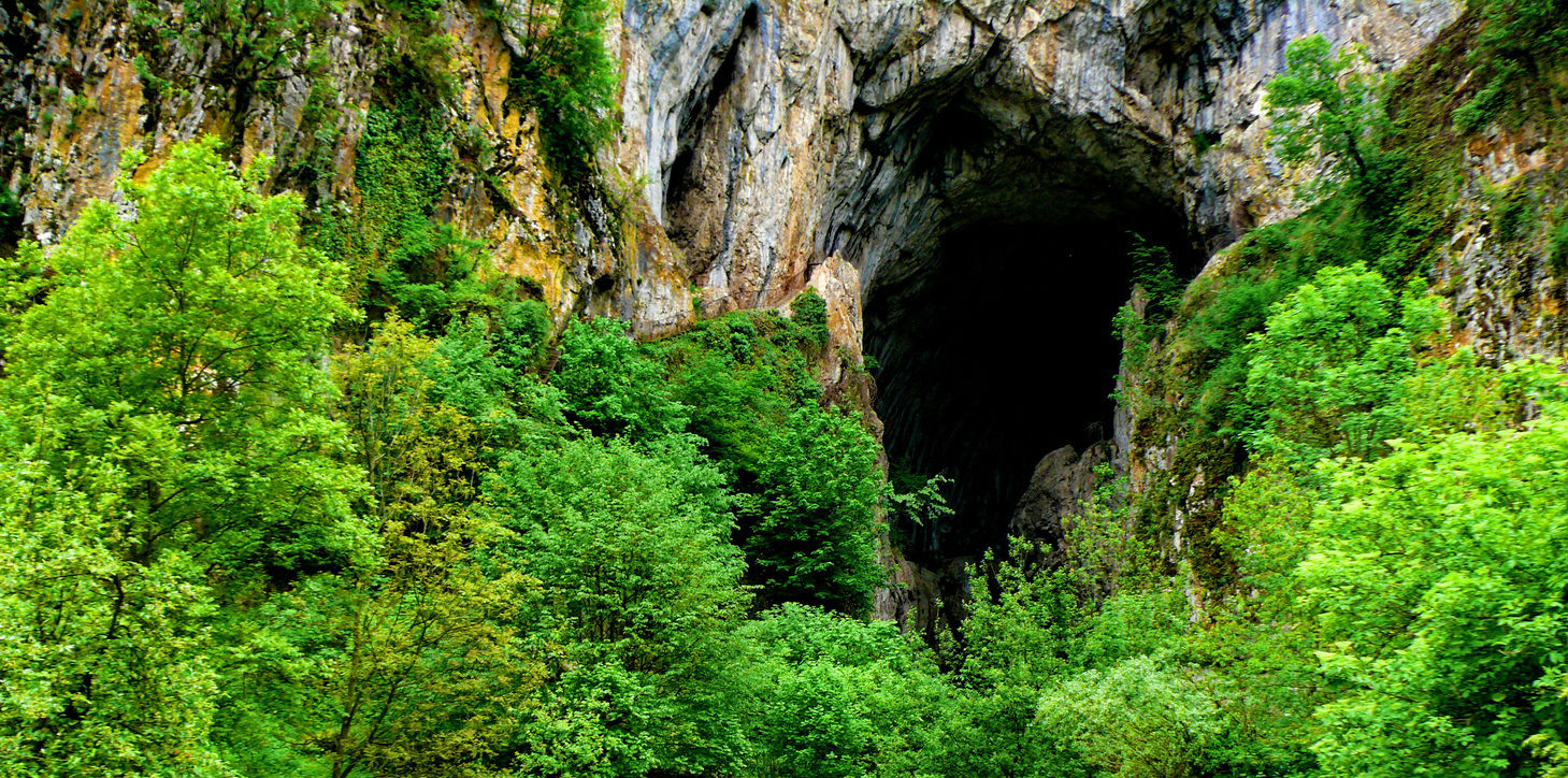 Resavska pećina, pogled u ledeno doba