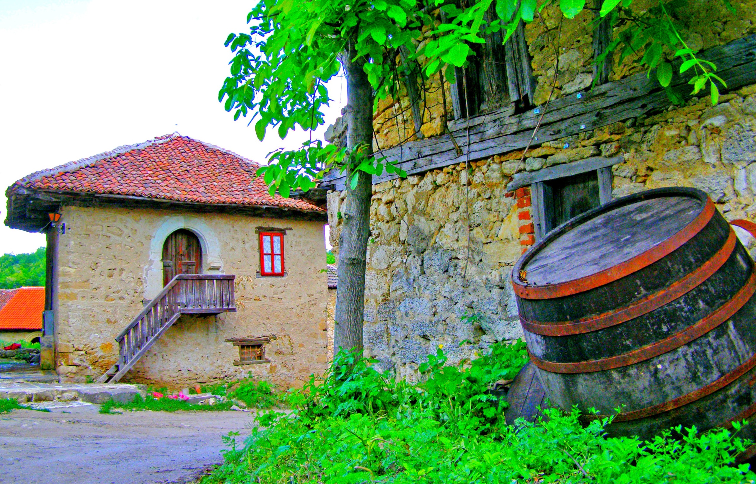 Palić wine route