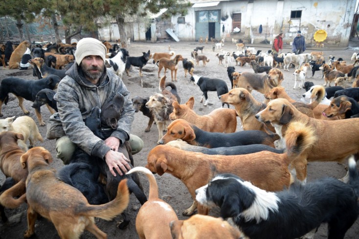 A hero from Niš is taking care of more than 400 dogs