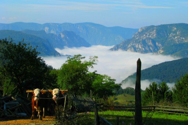 Jagoštica, a Serbian village on the very edge