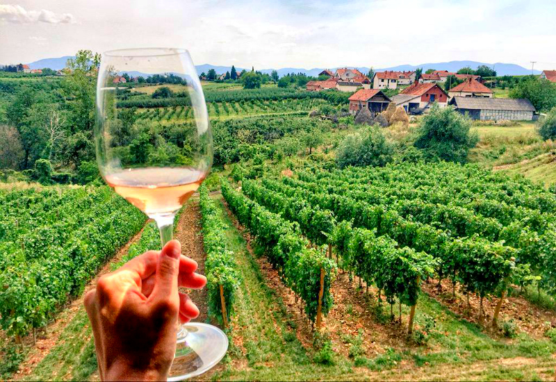 From Vineyards to Distilleries: Discover Serbia’s Unique Wine and Rakija Regions