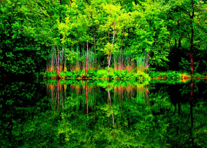 Semeteš Lake, A Place where Islands Dance