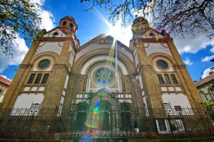 The Novi Sad Synagogue Aleksandar Milutinović
