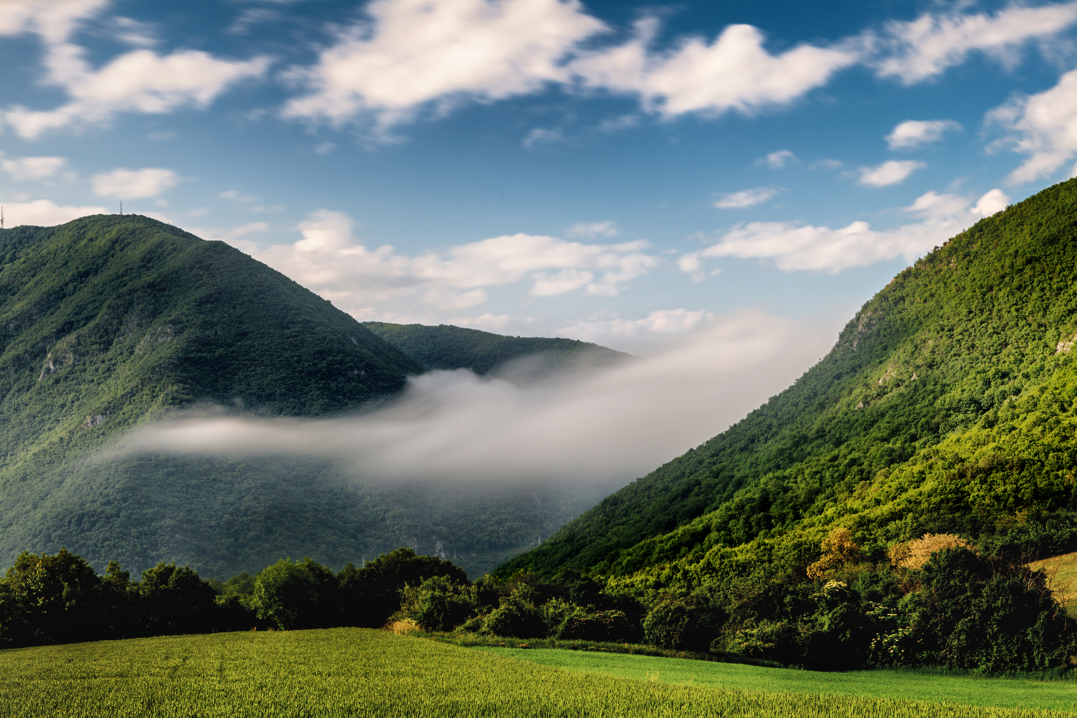 Serbian Nature