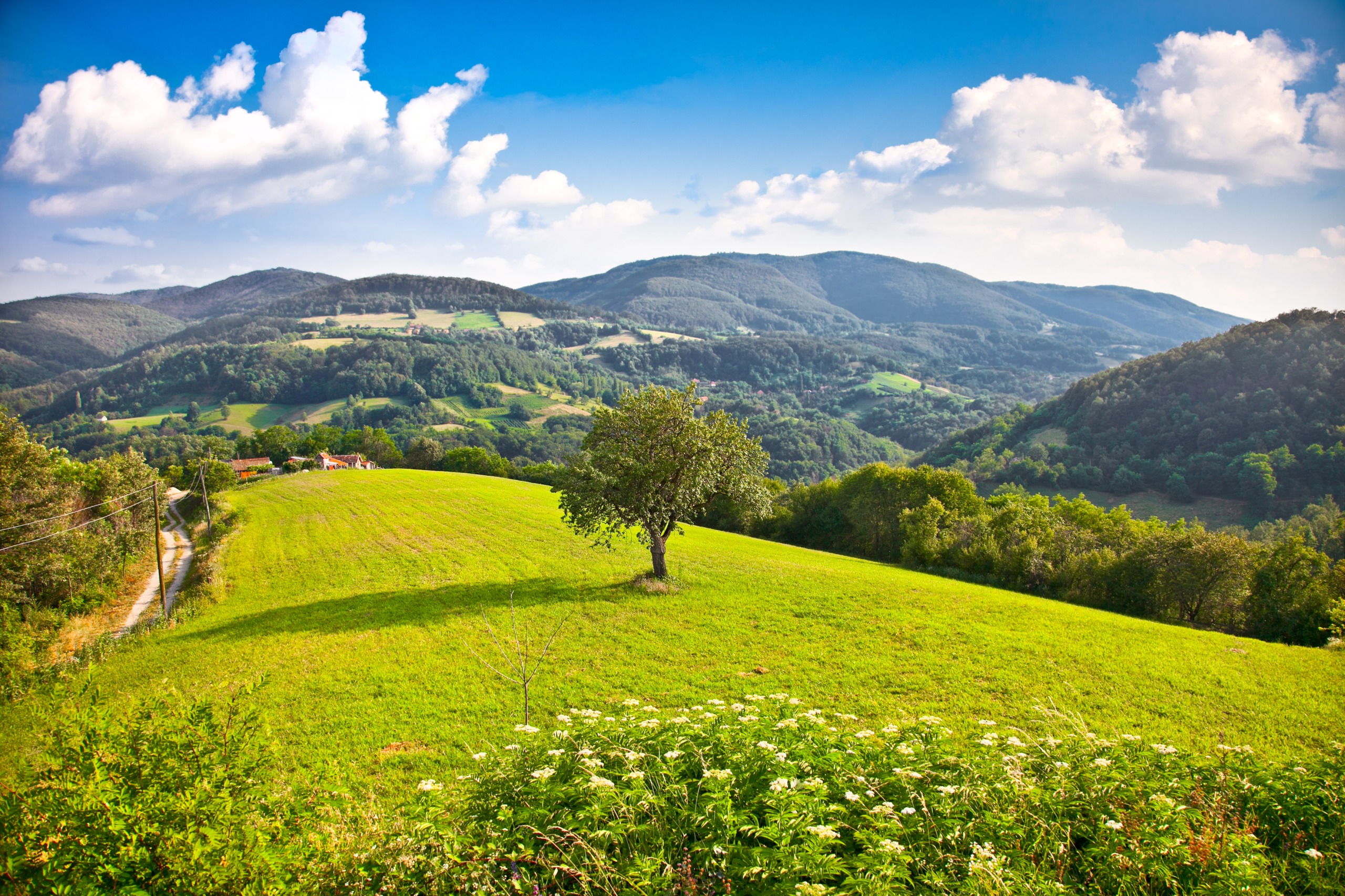 Kopaonik, the sunny mountain rich in silver