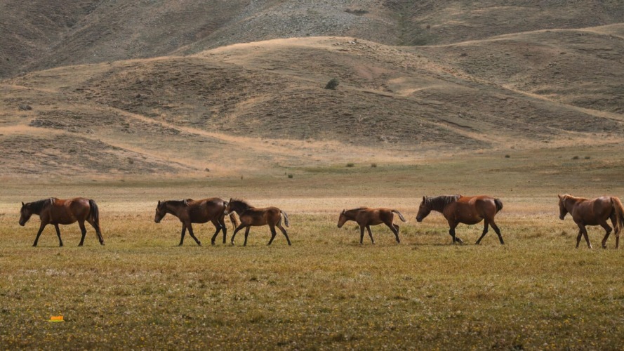 Explore Sjenica: The Serbian Siberia of Stunning Landscapes and Rich Heritage
