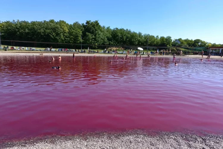 Discover Serbia’s Pink Paradise: The Healing Wonders of Pačir Lake