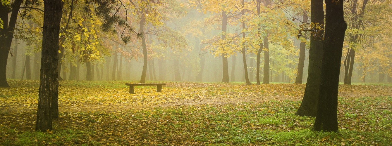 Discover Košutnjak: Where History Meets Nature