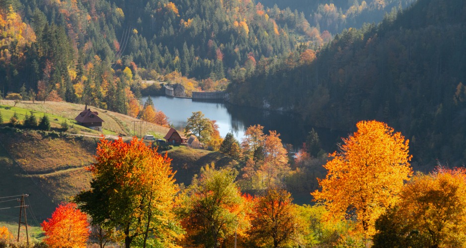 November Must-Do’s and Must-Visits in Serbia