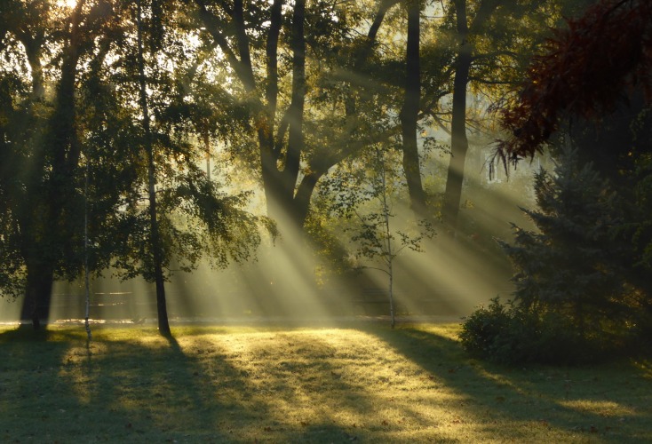 Discovering Danube Park in Novi Sad: A Gem of Tranquility