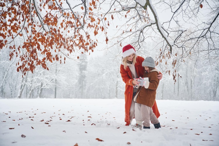 Christmas and New Year Activities: A Guide for Families and Kids