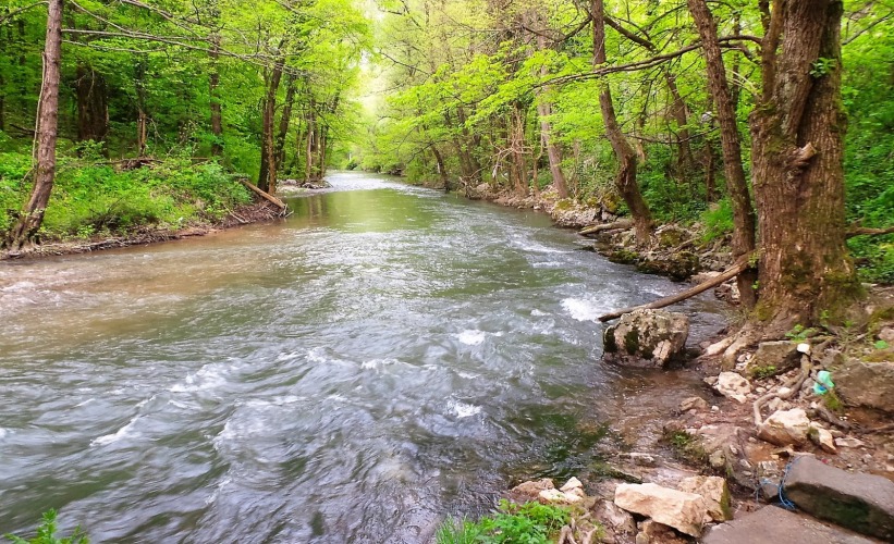 Ždrelo Spa: A Hidden Gem of Wellness and Natural Beauty