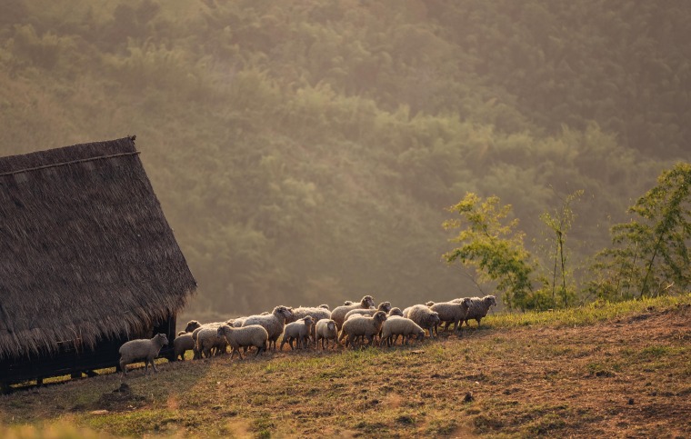 Visiting an Authentic Serbian Ethno Village? Here’s What to Expect