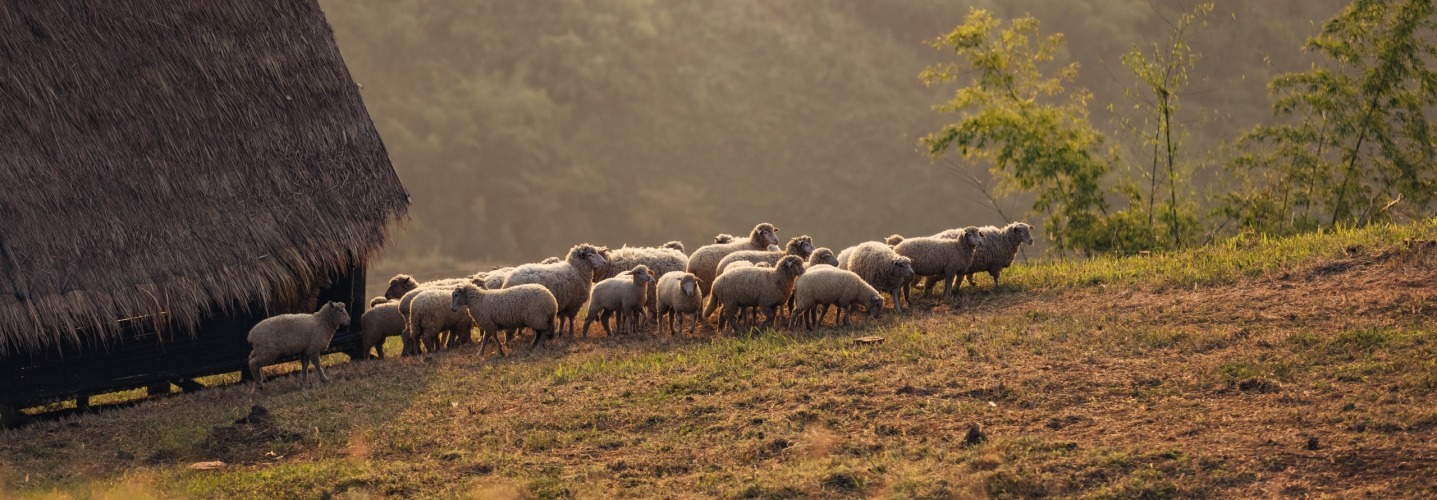 Visiting an Authentic Serbian Ethno Village? Here’s What to Expect