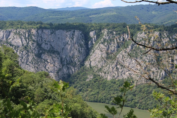 Planina Miroč i njen kulinarski dragulj: Miročki sir