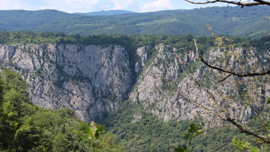 Miroč Mountain and Its Culinary Treasure: Miročki Cheese