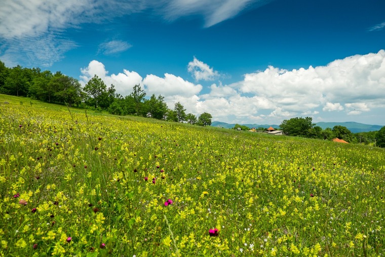 Radan Mountain: Serbia’s Enchanted Land of Legends and Beauty