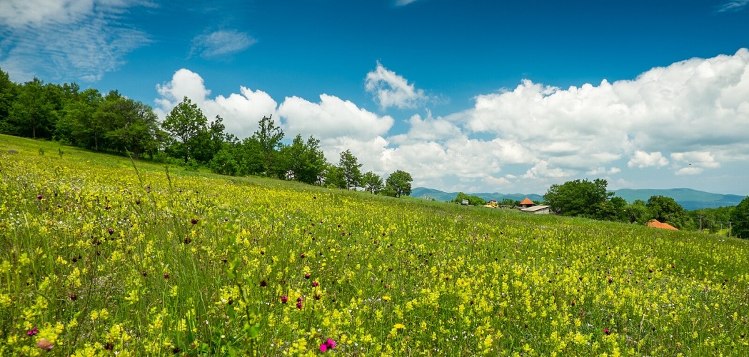 Radan Mountain: Serbia’s Enchanted Land of Legends and Beauty