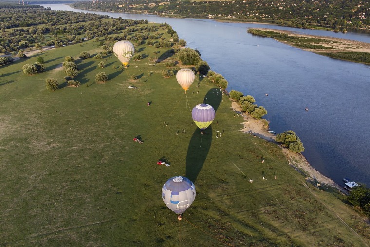 Krčedinska Ada – Wild Nature by the Danube