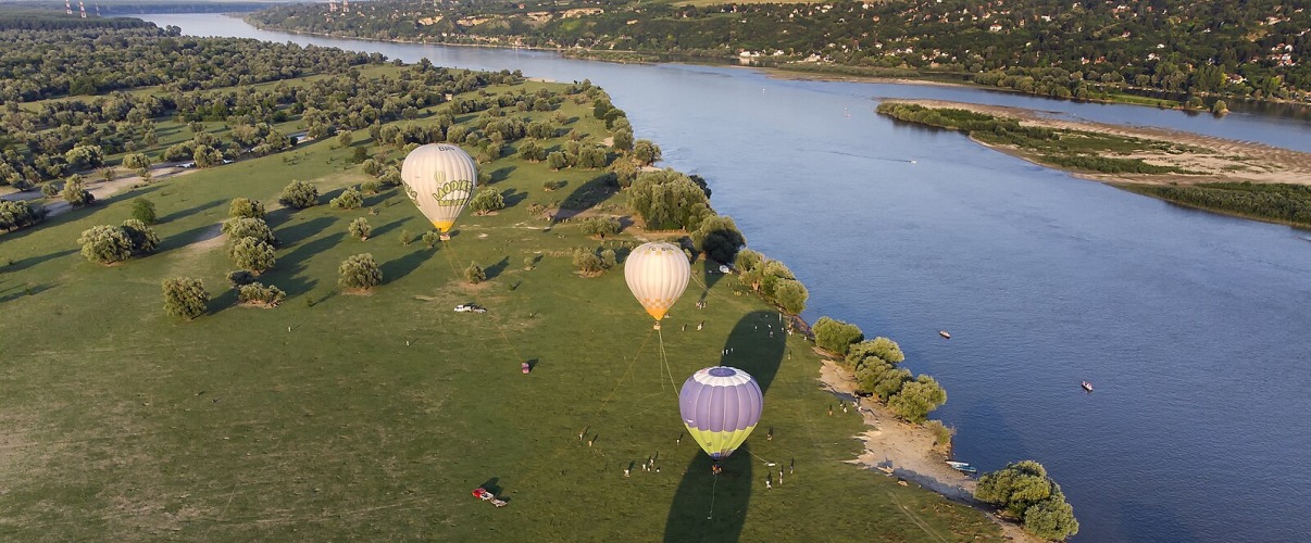 Krčedinska Ada – Wild Nature by the Danube