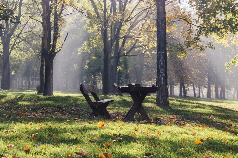 Zvezdara Forest in Belgrade: A Hidden Urban Escape
