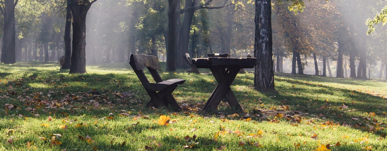 Zvezdara Forest in Belgrade: A Hidden Urban Escape