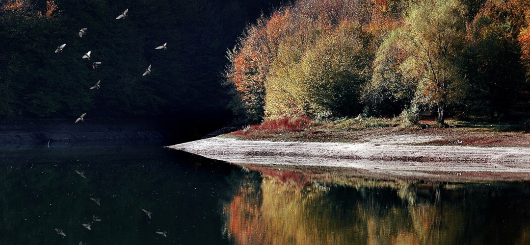 Jezero Garaši: Skrivena Oaza na Obroncima Bukulje